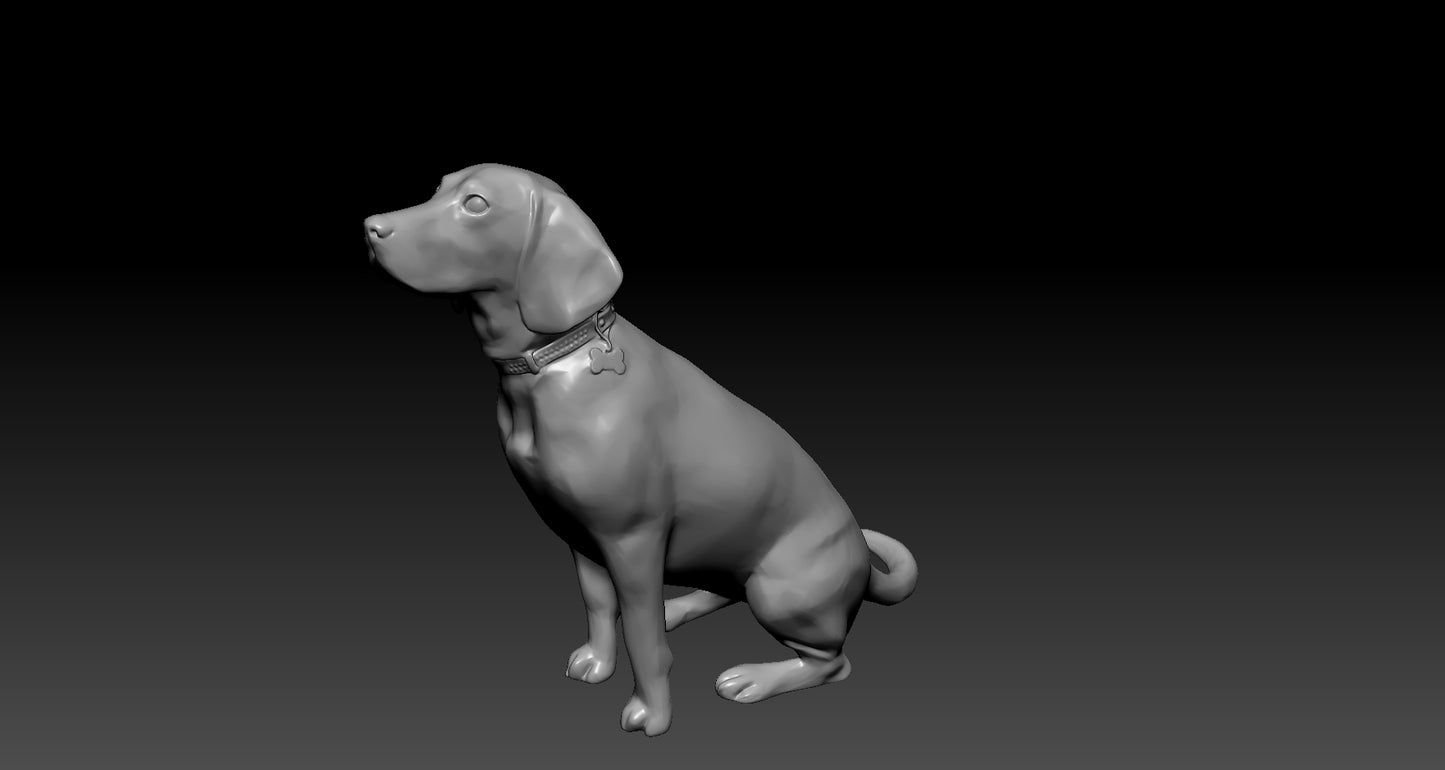 Beagle - figura 3d