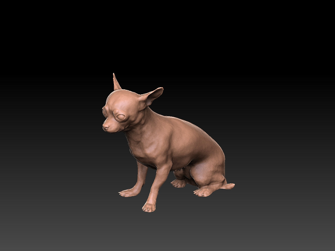 Chihuahua - Figura 3d