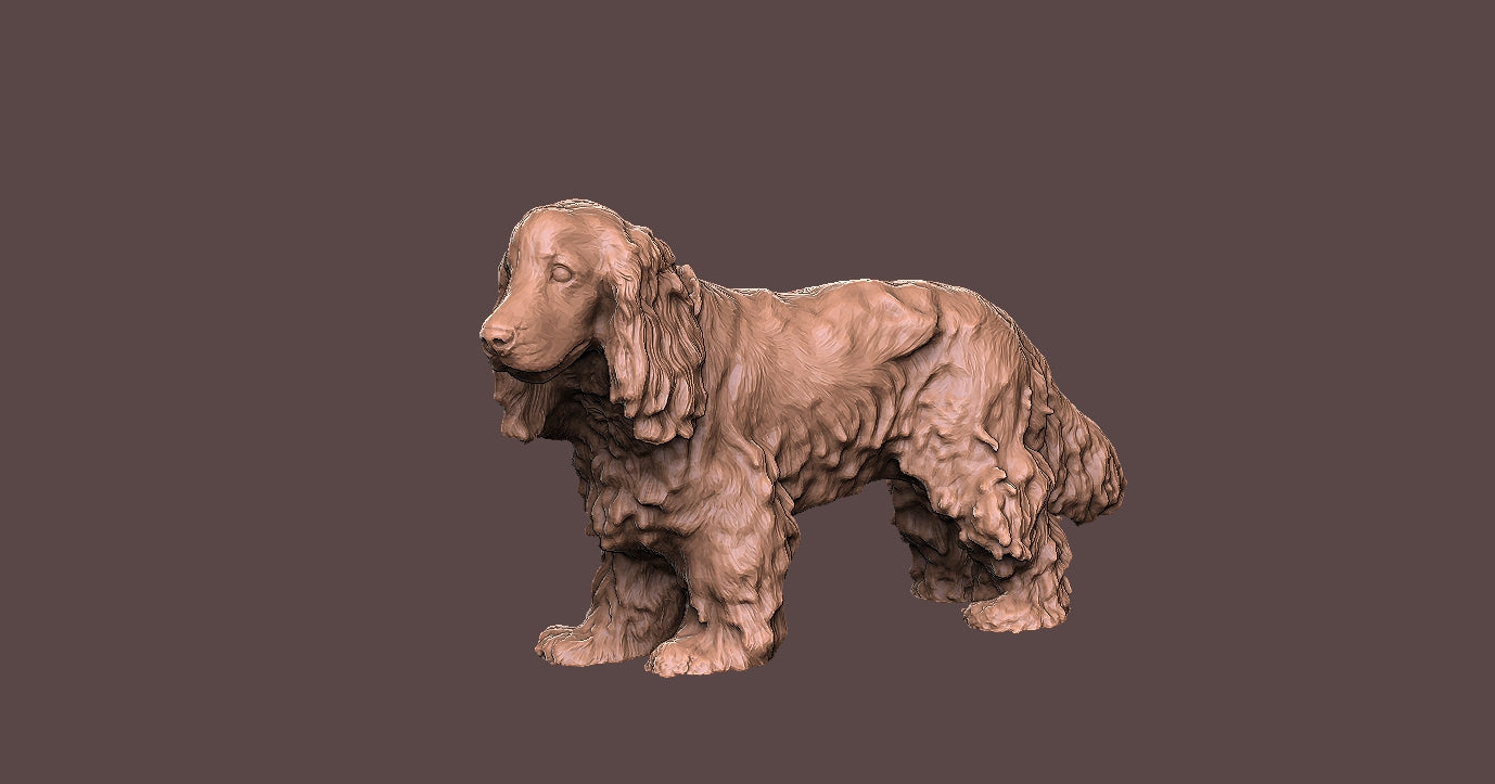 Cocker Spaniel -Figura 3d