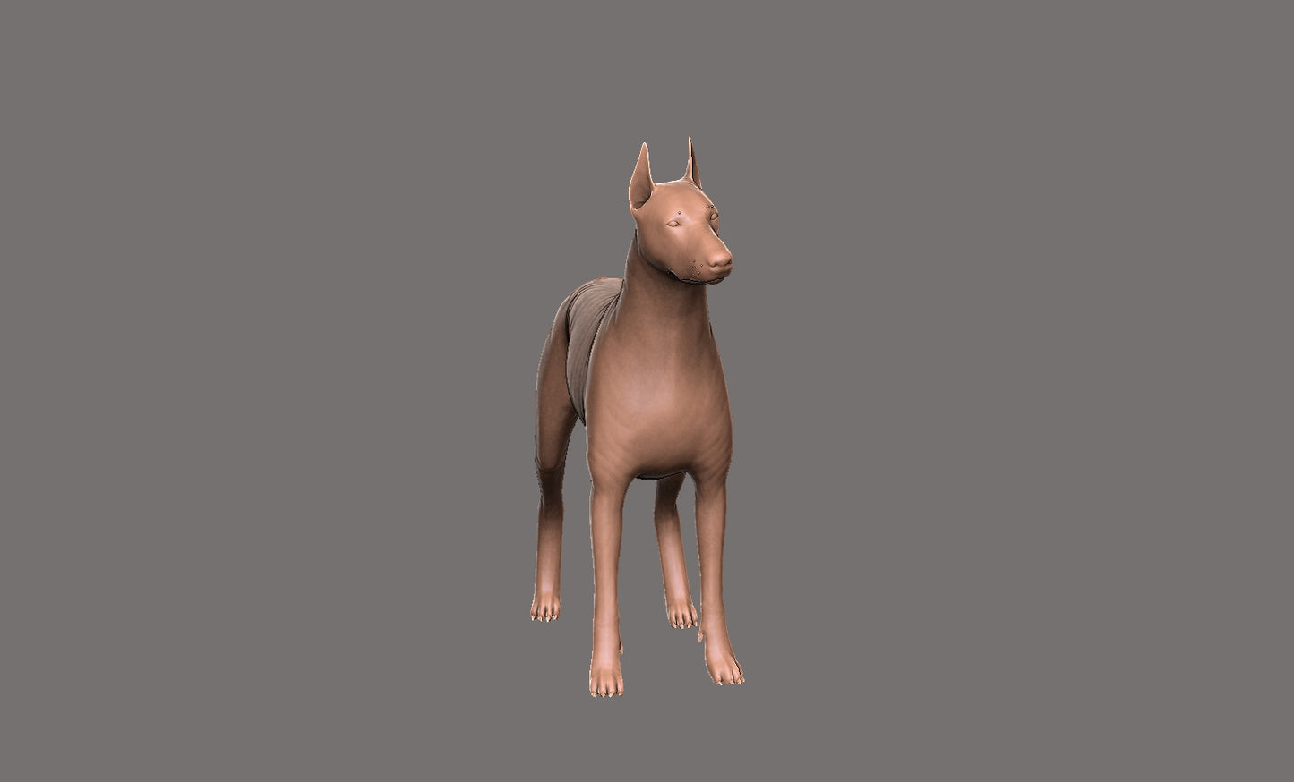 Doberman - Figura 3d