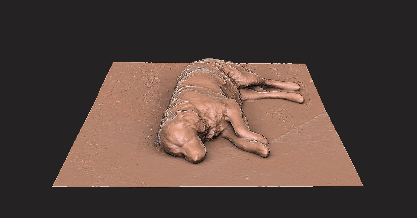 Golden Retriever - Figura 3d
