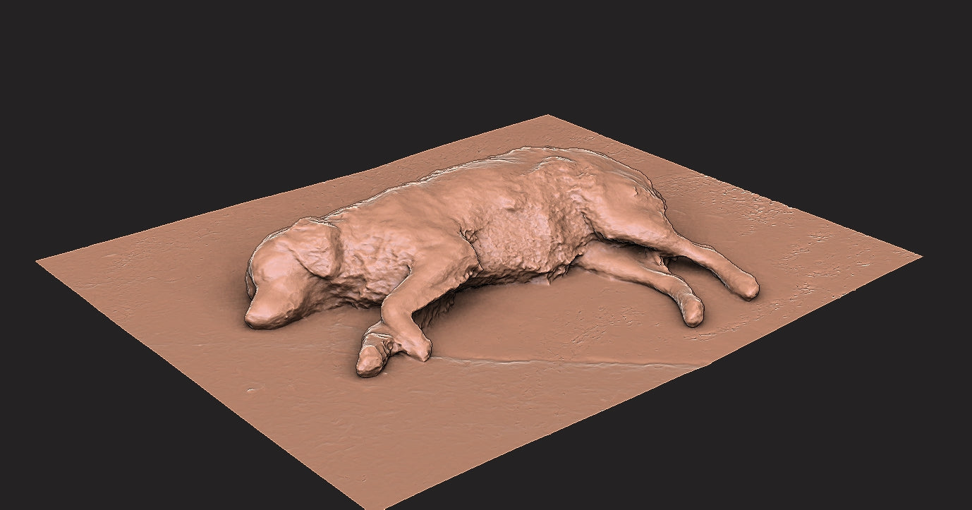 Golden Retriever - Figura 3d