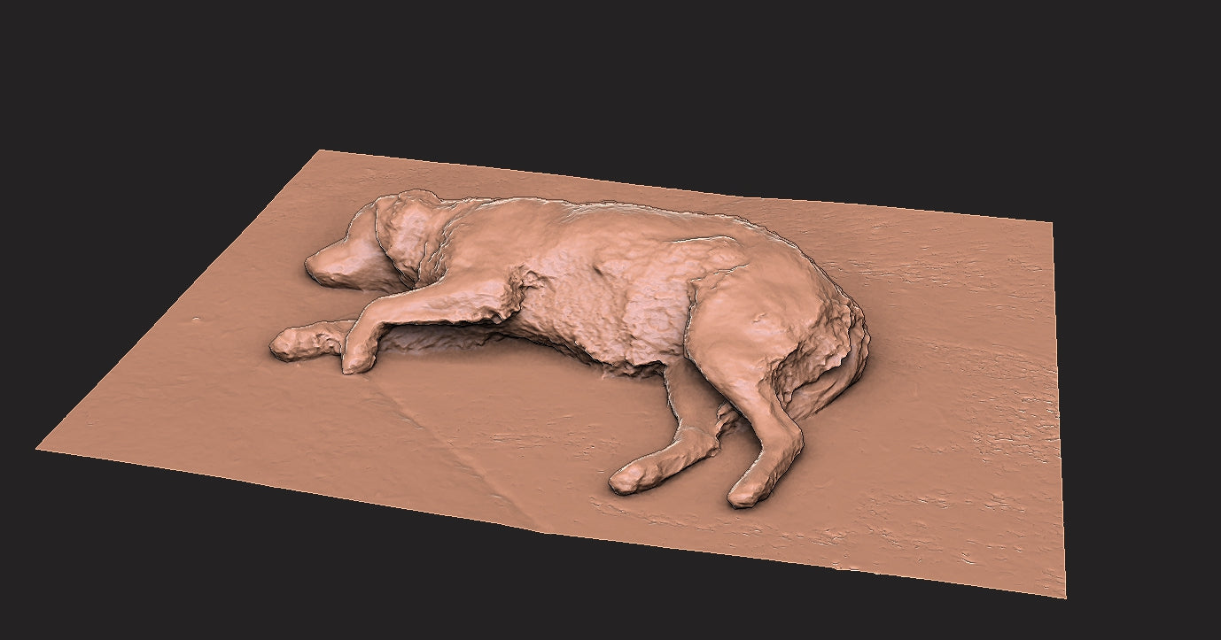 Golden Retriever - Figura 3d