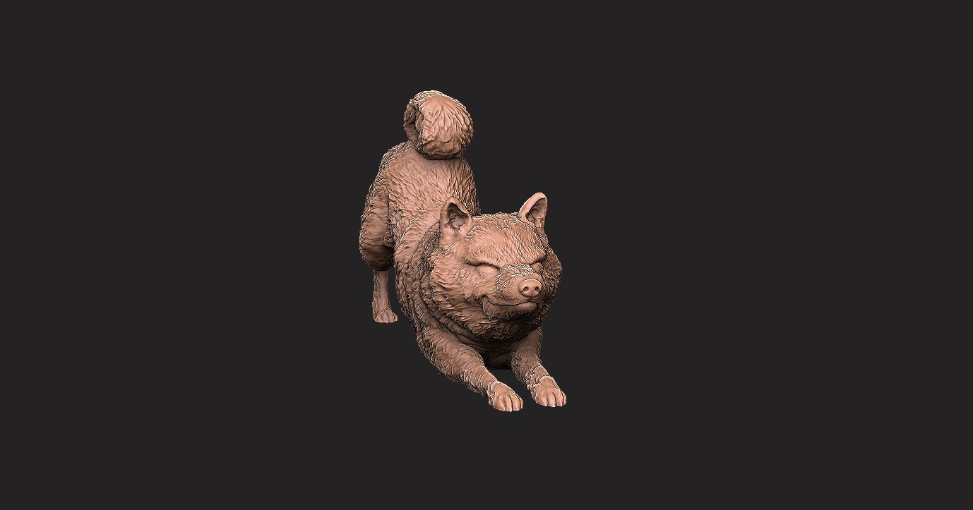 Shiba-Inu - Figura 3d