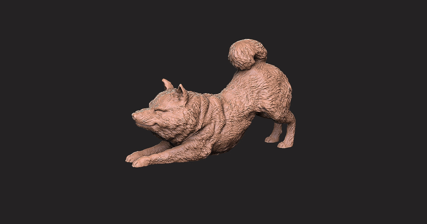 Shiba-Inu - Figura 3d