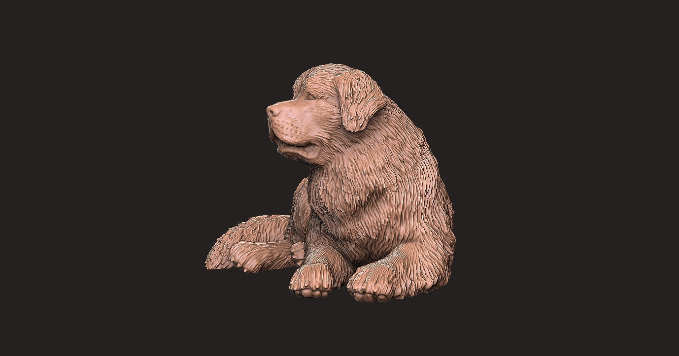 Terranova - Figura 3d