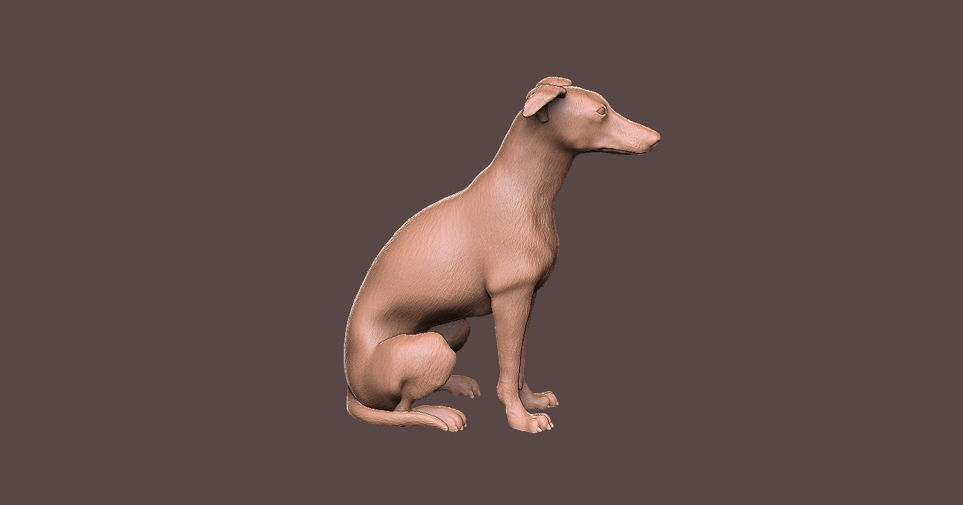 Galgo Ingles - Figura 3d