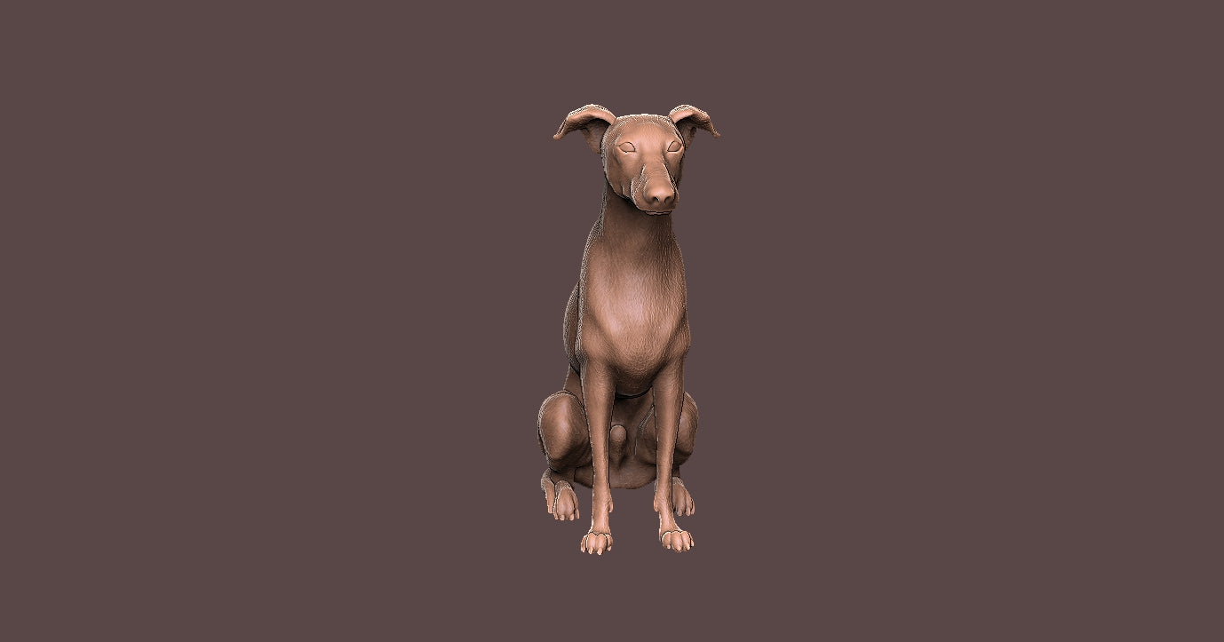 Galgo Ingles - Figura 3d