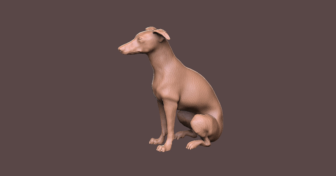 Galgo Ingles - Figura 3d
