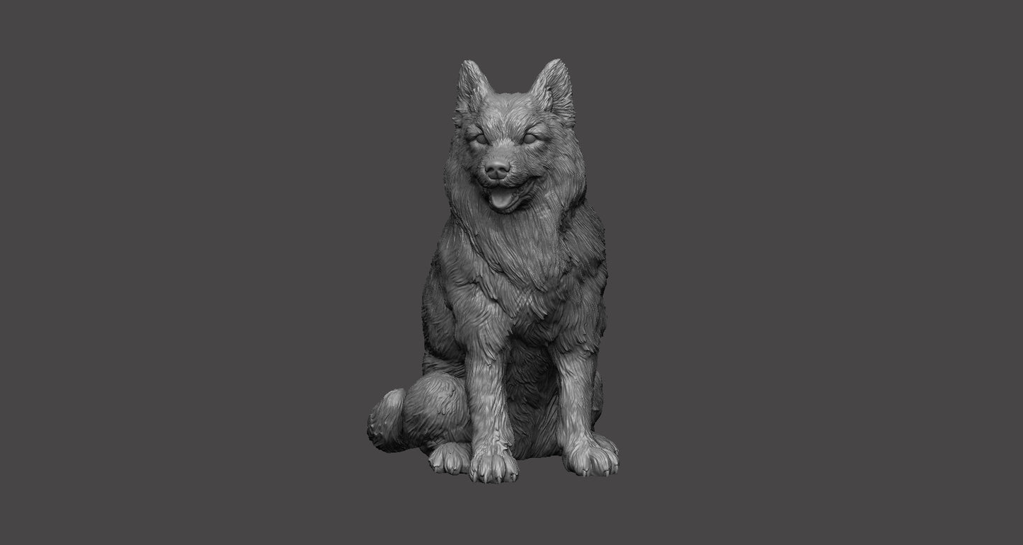 Husky Siberiano - Figura 3d