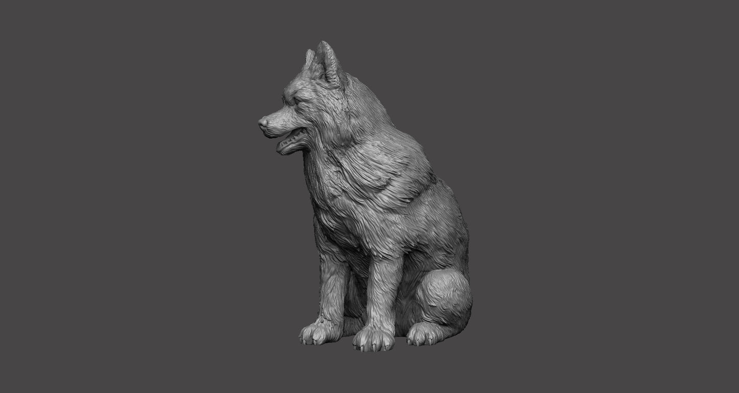 Husky Siberiano - Figura 3d