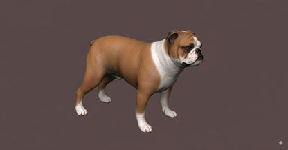 Pitbul personalizado