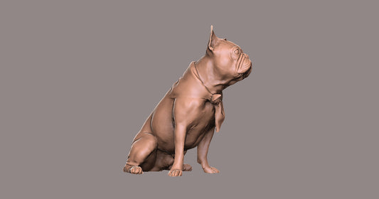 Bulldog Frances  - Figura 3d