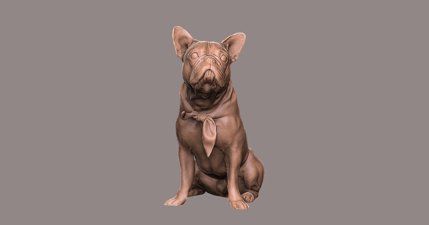 Bulldog Frances  - Figura 3d