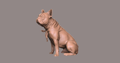 Bulldog Frances  - Figura 3d