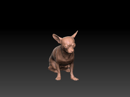Chihuahua  - Figura 3d