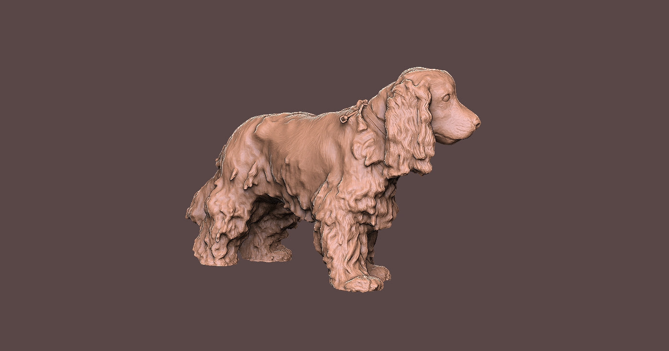 Cocker Spaniel -Figura 3d