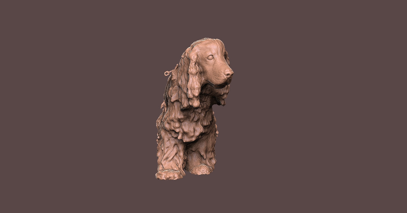 Cocker Spaniel -Figura 3d