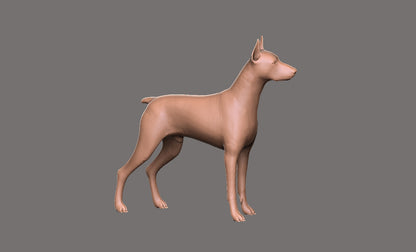Doberman -  Figura 3d