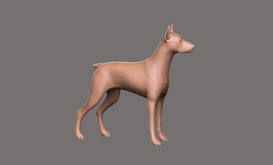 Doberman -  Figura 3d