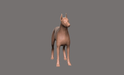 Doberman -  Figura 3d