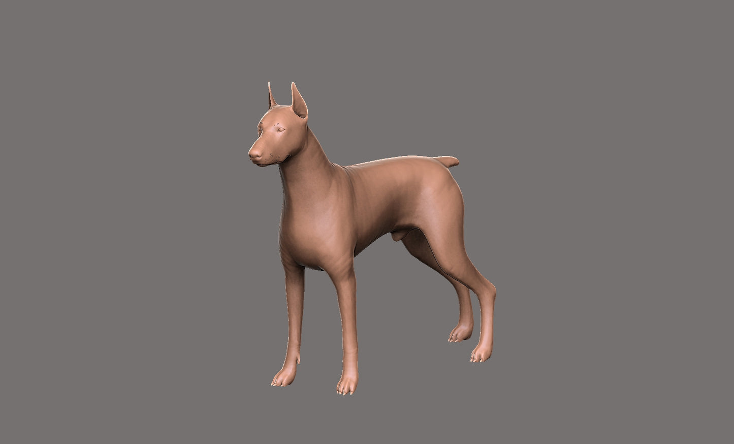Doberman -  Figura 3d