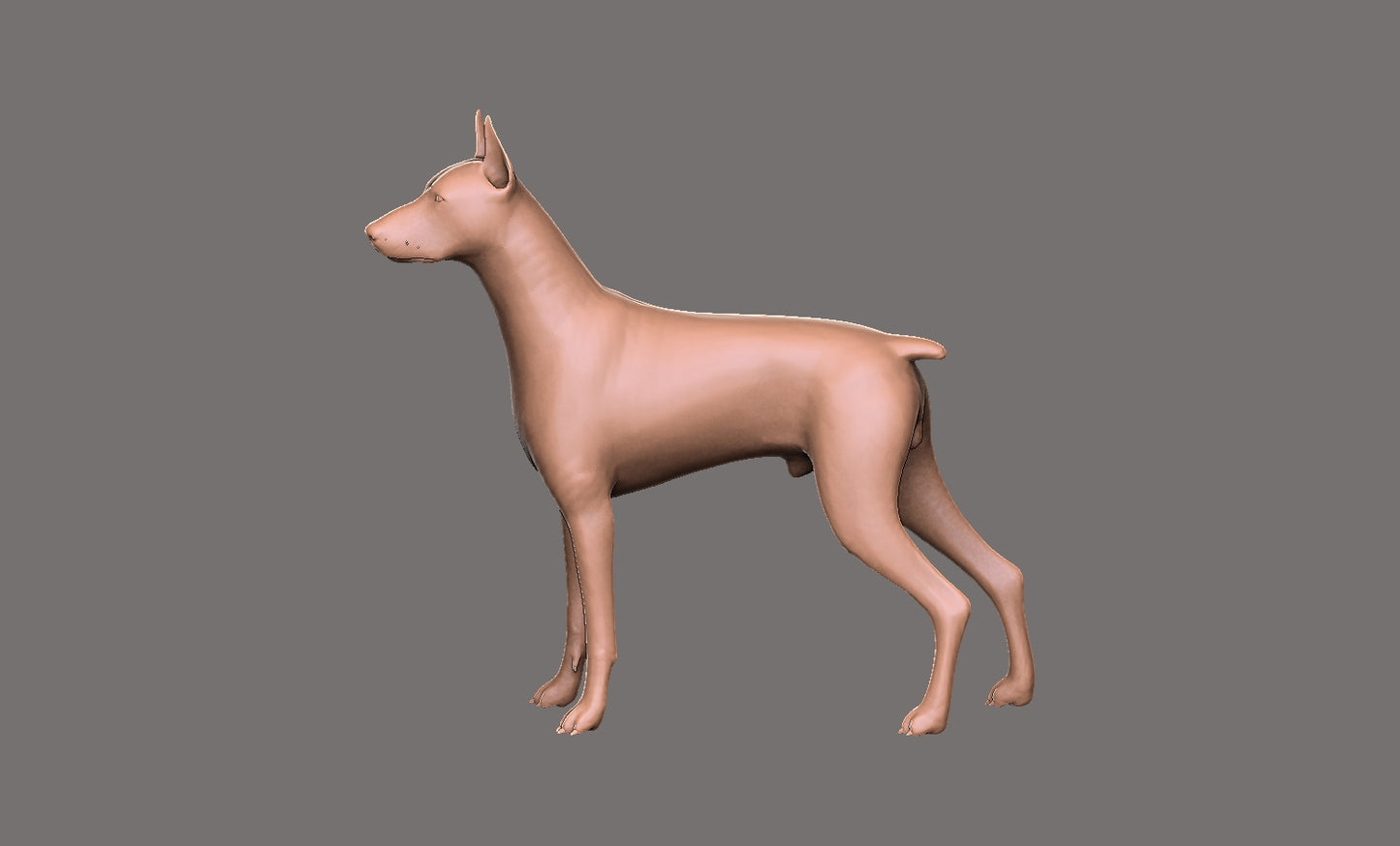 Doberman -  Figura 3d