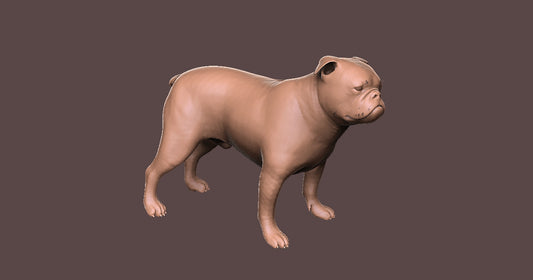 English Bulldog - Figura3d