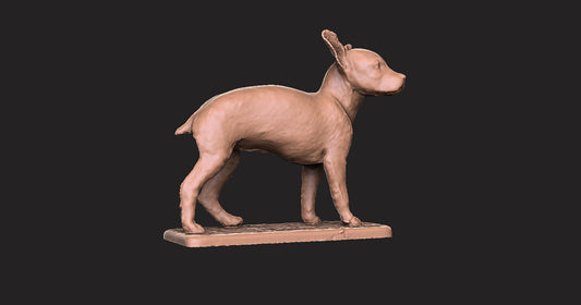 Pinscher Miniatura -  Figura 3d