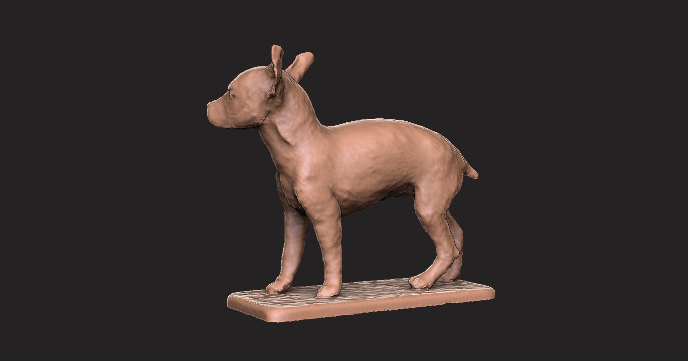 Pinscher Miniatura -  Figura 3d
