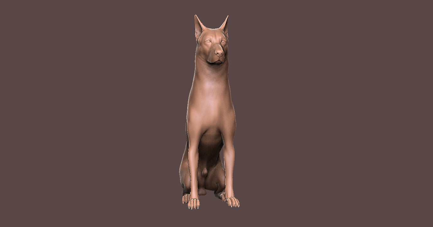Pastor Aleman -  Figura 3d