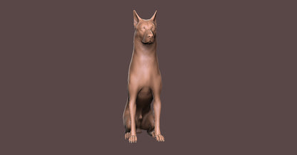 Pastor Aleman -  Figura 3d