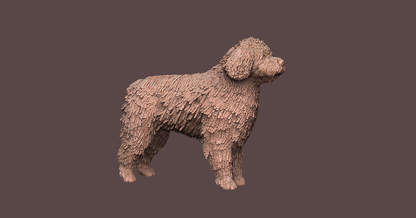 Perro de Aguas -  Figura 3d