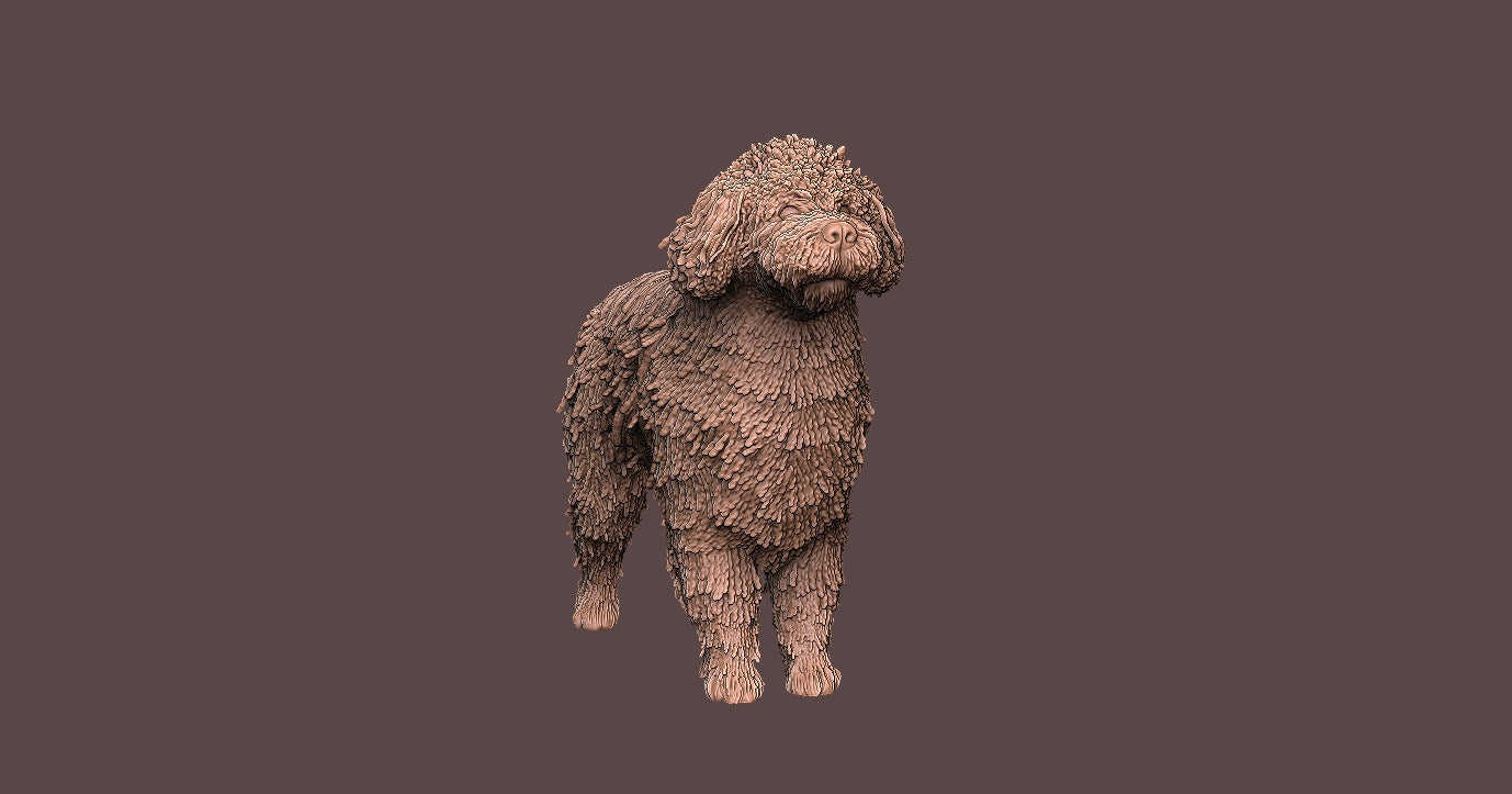 Perro de Aguas -  Figura 3d