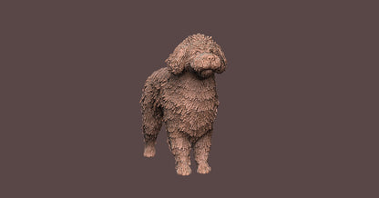 Perro de Aguas -  Figura 3d
