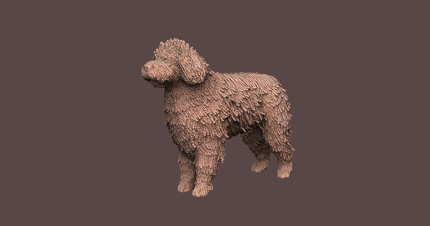 Perro de Aguas -  Figura 3d