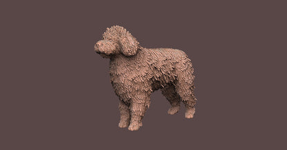 Perro de Aguas -  Figura 3d
