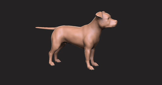 Pitbull -  Figura 3d