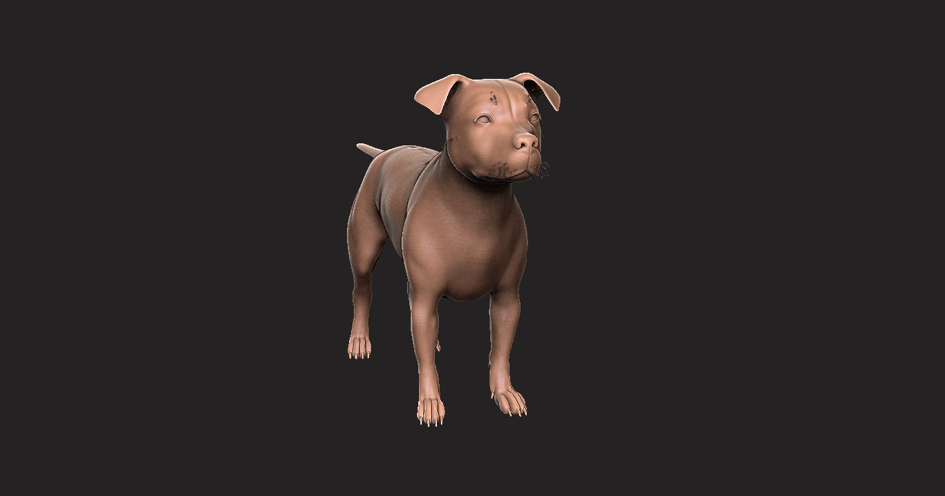 Pitbull -  Figura 3d