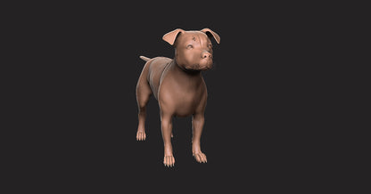 Pitbull -  Figura 3d