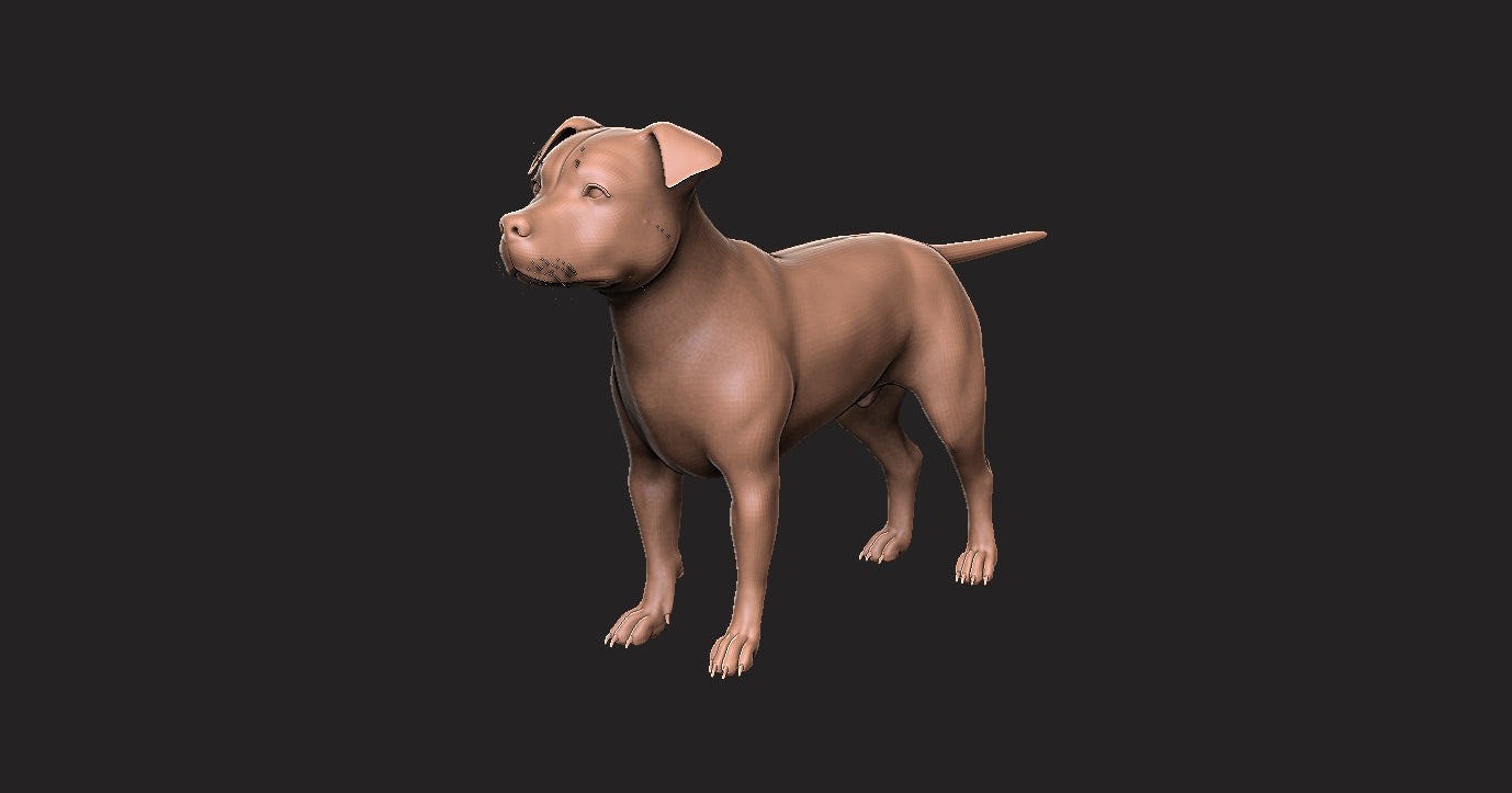 Pitbull -  Figura 3d