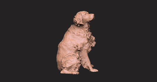 Setter ingles - Figura 3d