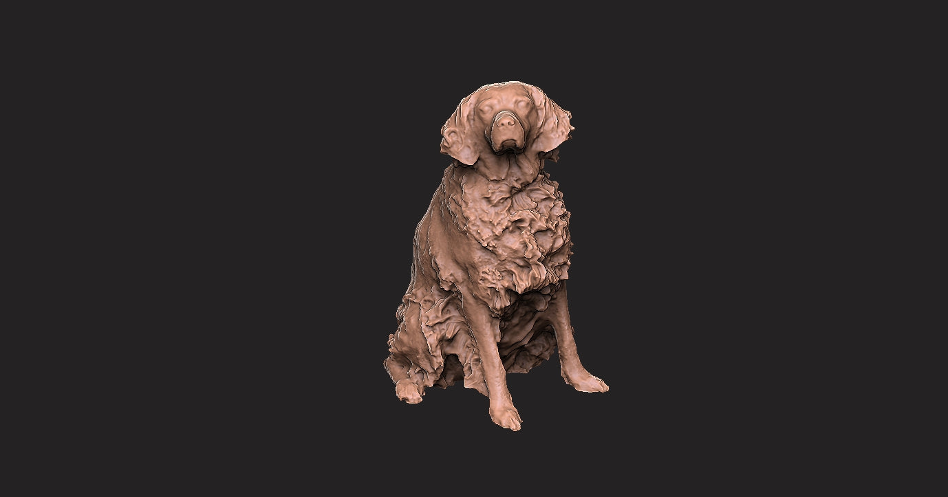 Setter ingles - Figura 3d
