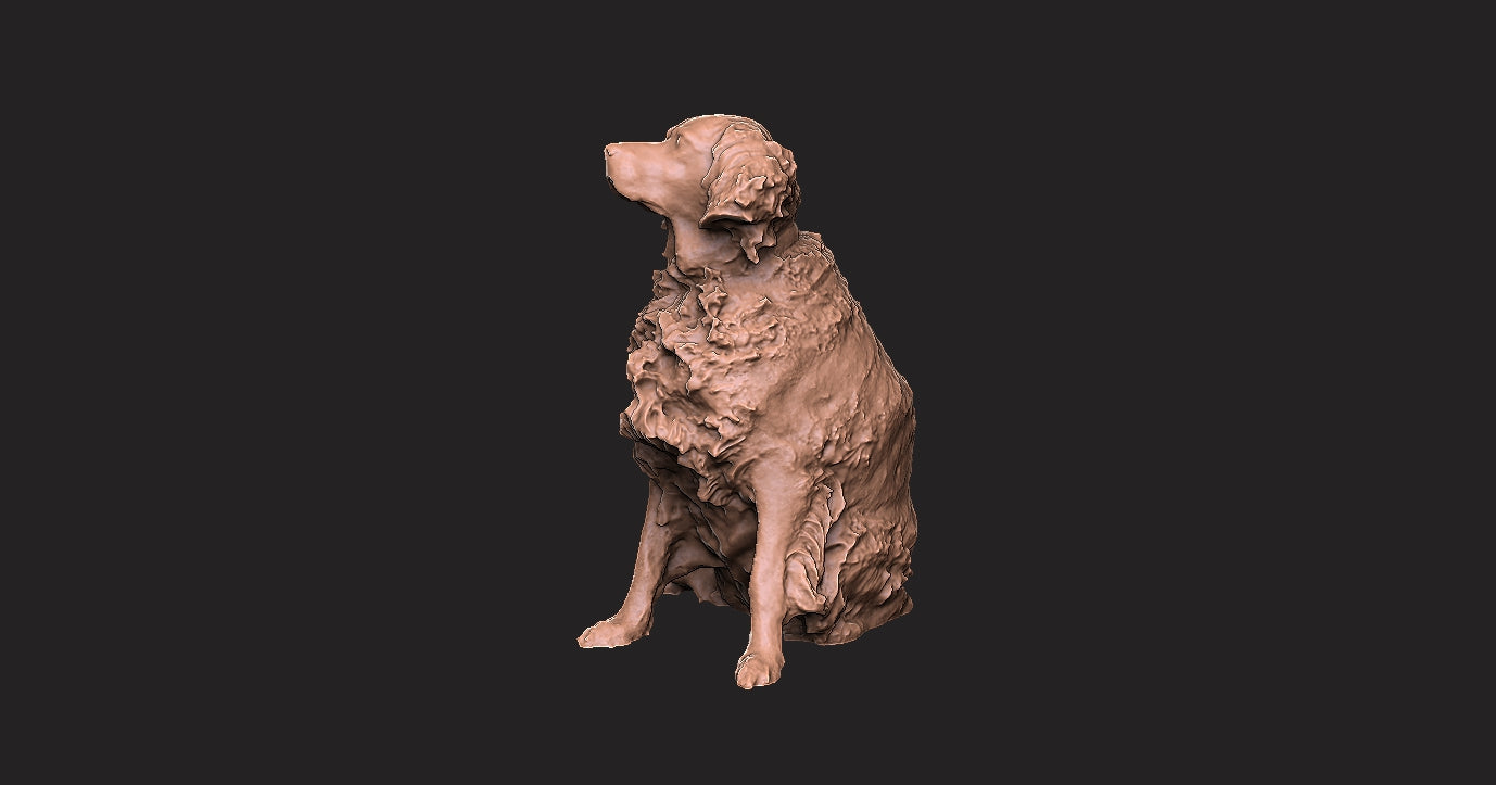 Setter ingles - Figura 3d