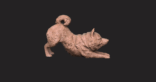 Shiba-Inu - Figura 3d
