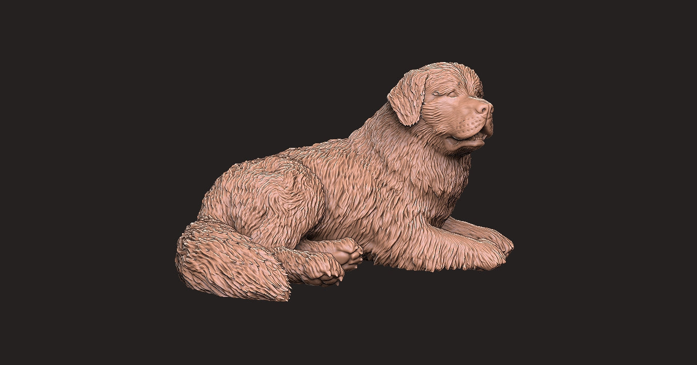 Terranova - Figura 3d