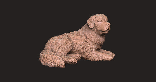 Terranova - Figura 3d