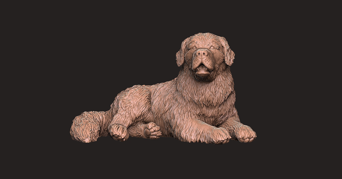 Terranova - Figura 3d