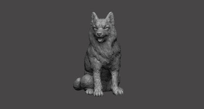 Husky Siberiano -  Figura 3d