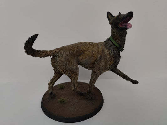 Malinois - figura 3d